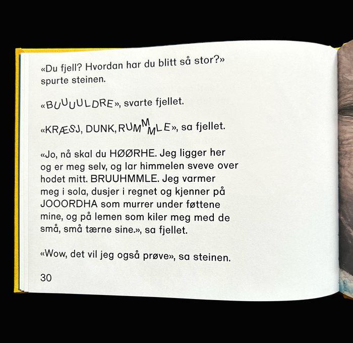 Den Lille Steinen 2