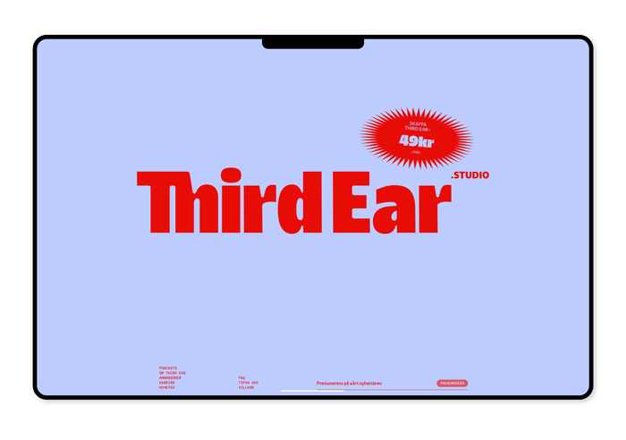 Third Ear Studio 2