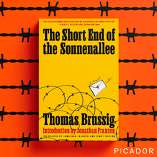 <cite>The Short End of the Sonnenallee</cite> by Thomas Brussig