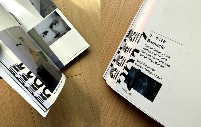 Artist-run Democracy: Sustaining a Model 9