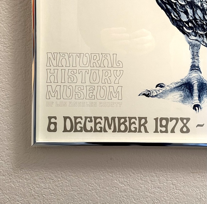 Eclectic Pelican exhibition poster 3