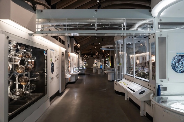 The Insectarium at the American Museum of Natural History 9