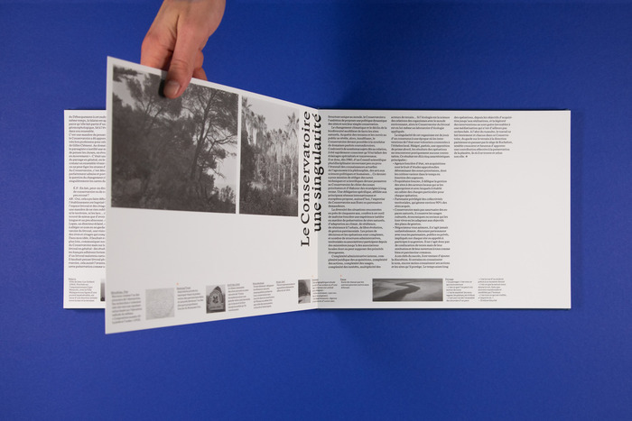 The spreads are printed on one sheet. On some pages the titles are thus directly printed on the page fold.