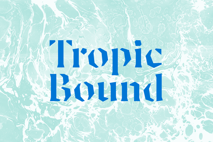 Tropic Bound book fair 1