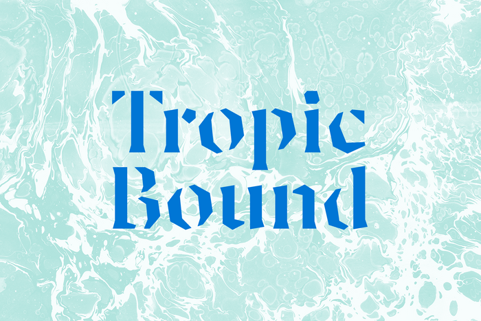 Tropic Bound book fair 1