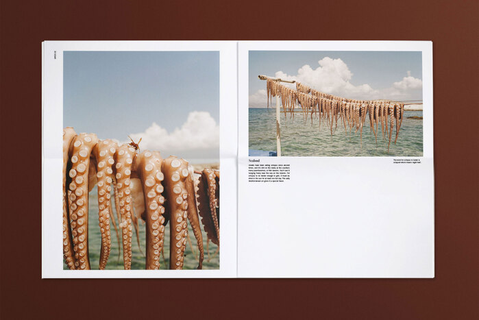 Without Borders, issue 1 5