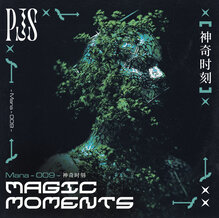 PJS – <cite>Magic Moments</cite> album art