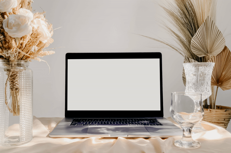 Lunar Grace branding and website 6