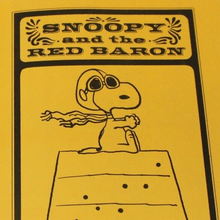 <cite>Snoopy and the Red Baron</cite> by Charles M. Schulz