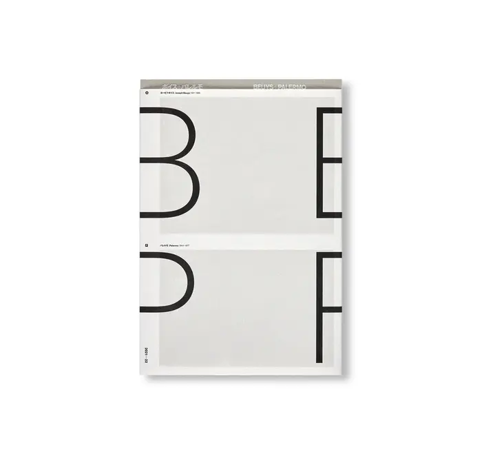 Beuys+Palermo exhibition posters and catalog 4