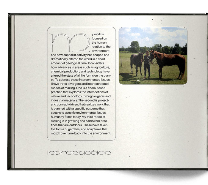 Searching for a Modern Metamorphosis by Kelly Kroener 2