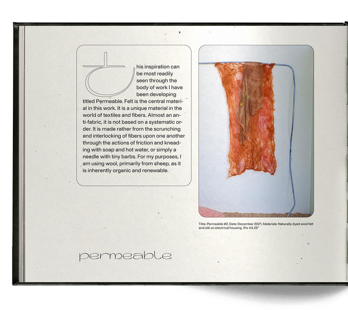 Searching for a Modern Metamorphosis by Kelly Kroener 4