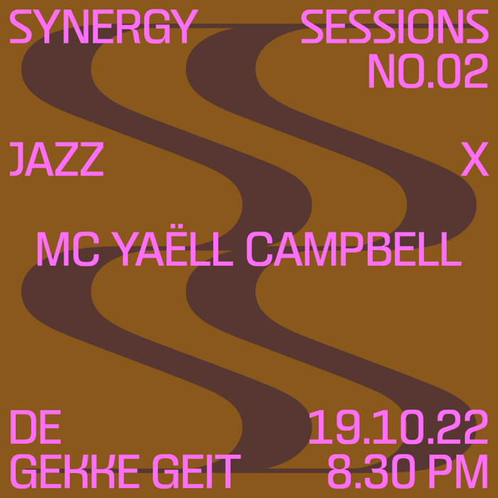 Synergy Sessions 2