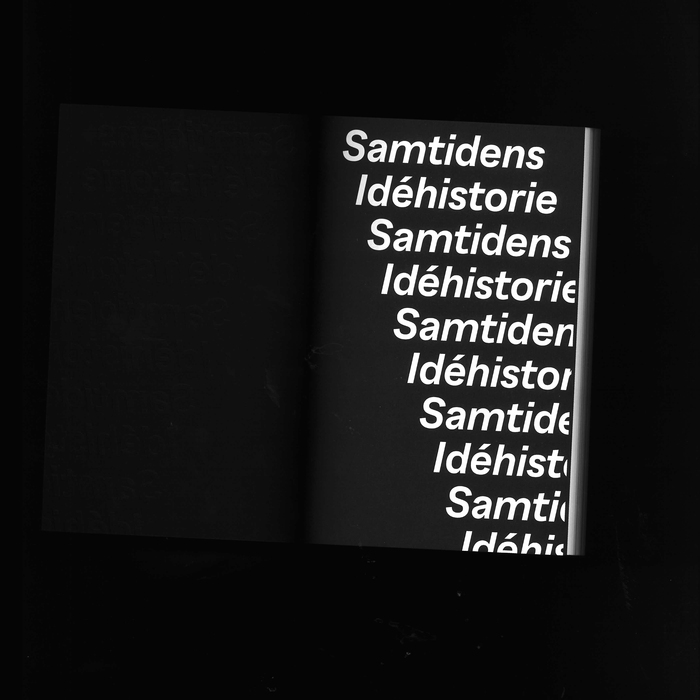 Samtidens Idéhistorie 2