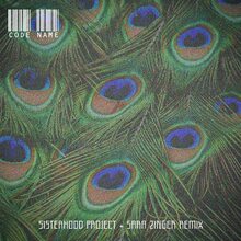 Sisterhood Project – “Code Name” (Sara Zinger remix) single cover