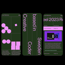 Liam Rahimian portfolio