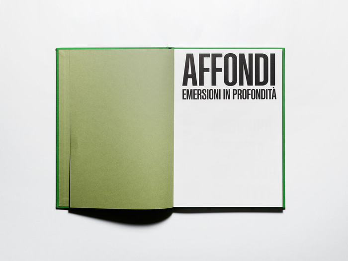 Affondi. Emersioni in Profondità 4