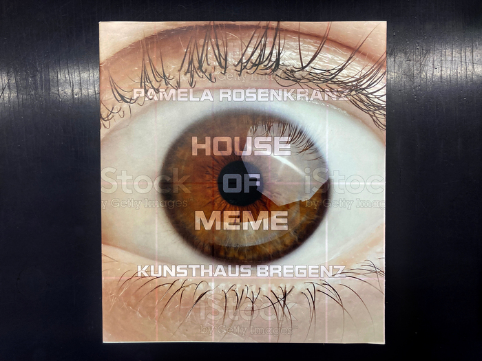 House of Meme by Pamela Rosenkranz 1