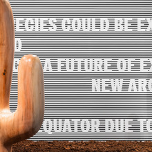 “Even Cacti Can’t Take the Heat” by Claudia Comte