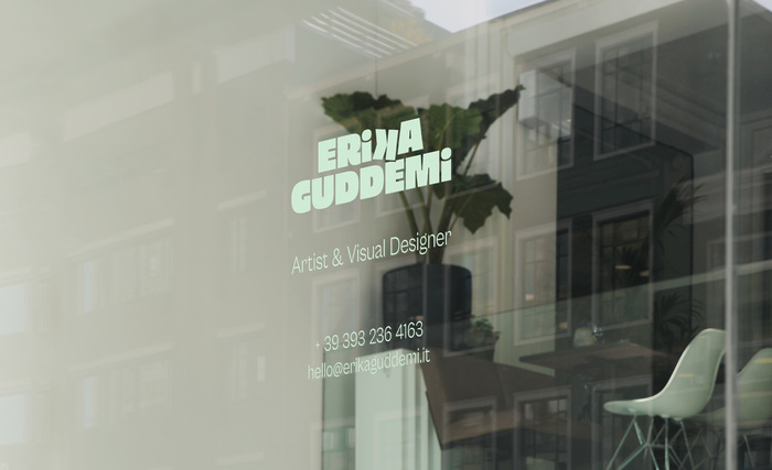 Erika Guddemi identity 2
