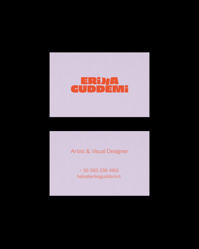 Erika Guddemi identity 8