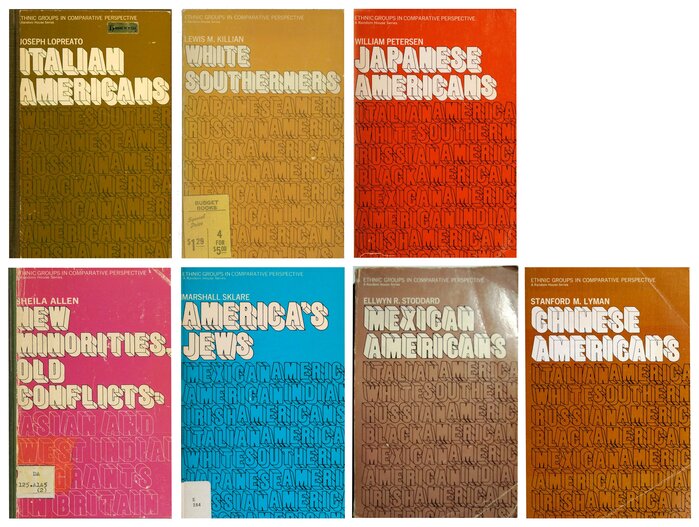Ethnic Groups in Comparative Perspective book series 1