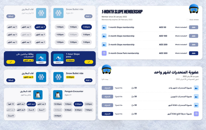 Ski Dubai 3