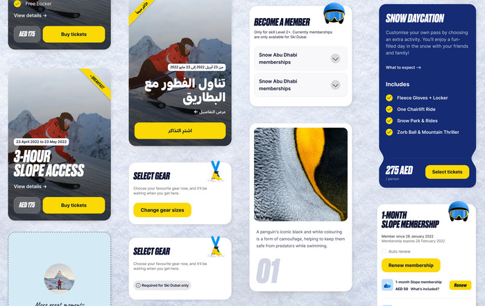 Ski Dubai 6