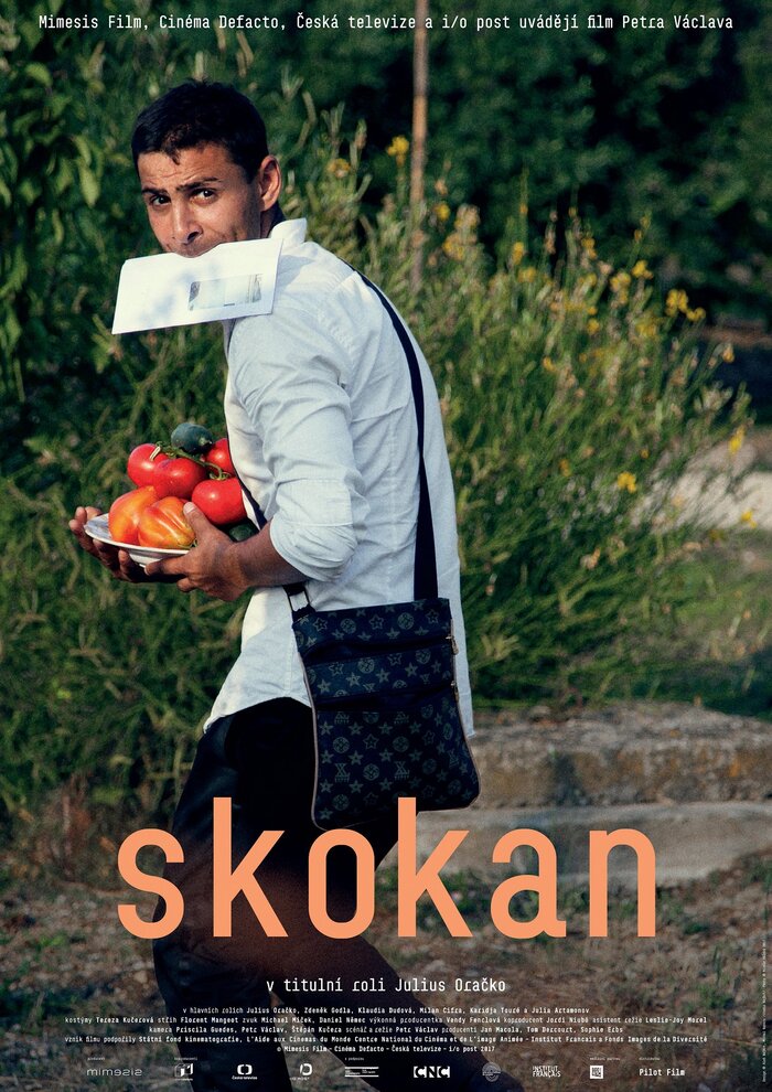 Skokan movie poster 1