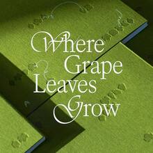 <cite>Where Grape Leaves Grow </cite>by Anna Daliza