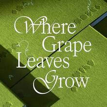 <cite>Where Grape Leaves Grow </cite>by Anna Daliza