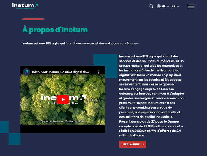 Inetum 11