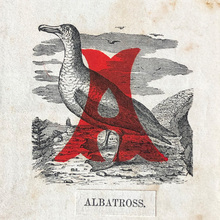 <cite>Alphabet of Birds</cite>