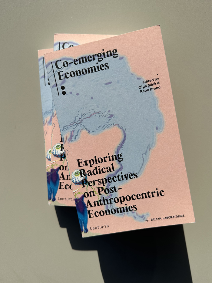 Co-emerging Economies by Olga Mink & Reon Brand (eds.) 1