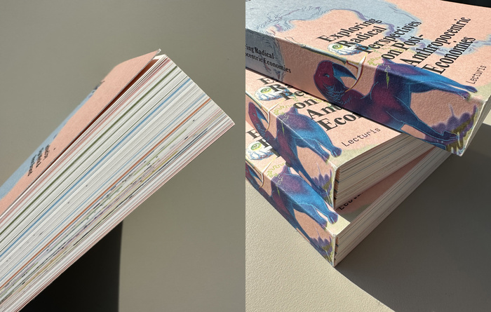 Co-emerging Economies by Olga Mink &amp; Reon Brand (eds.) 2
