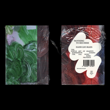 <cite>Nothing to See Here</cite> by Hans Leo Maes