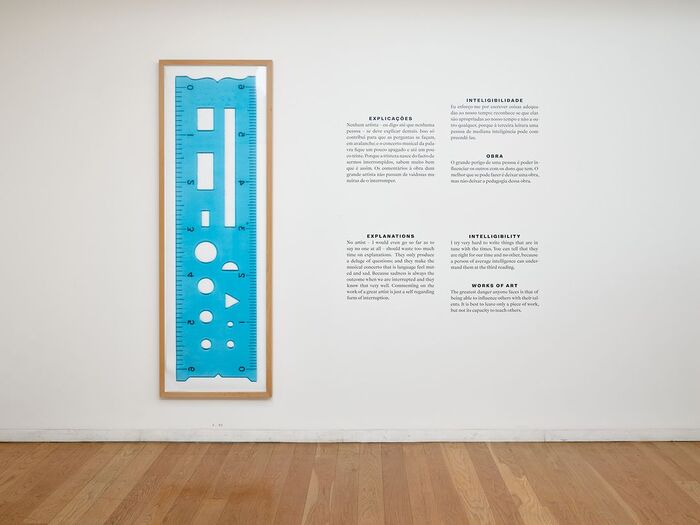 A Written Exhibition: Agustina Bessa-Luís and the Serralves Collection 3