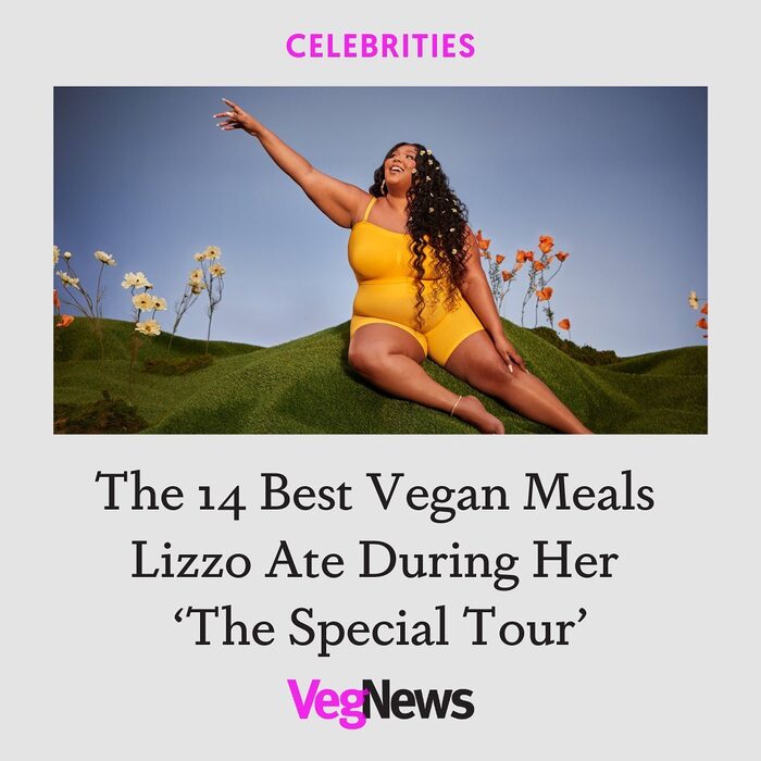 VegNews website and social media 10