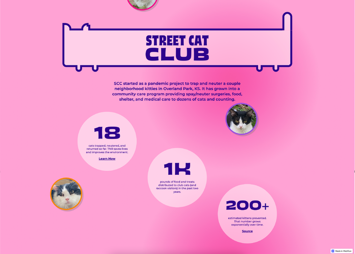 Street Cat Club website 1