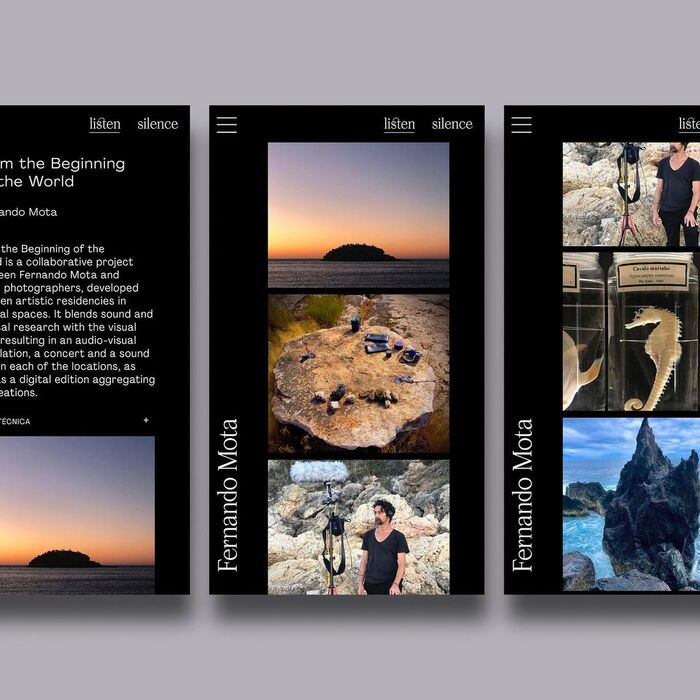 Fernando Mota website 7