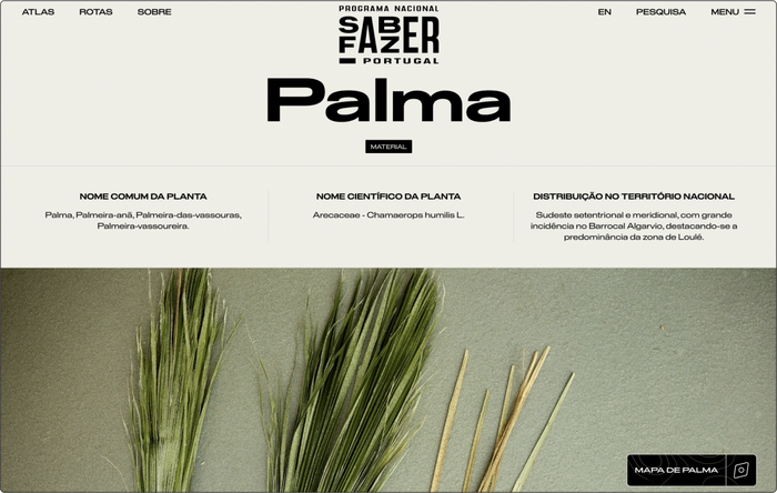Saber Fazer website 5