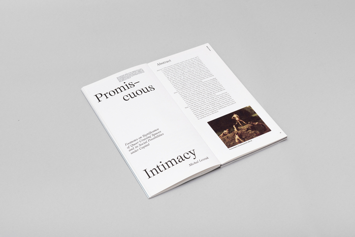 NOIA, issue 2: “Reassemblage” 4