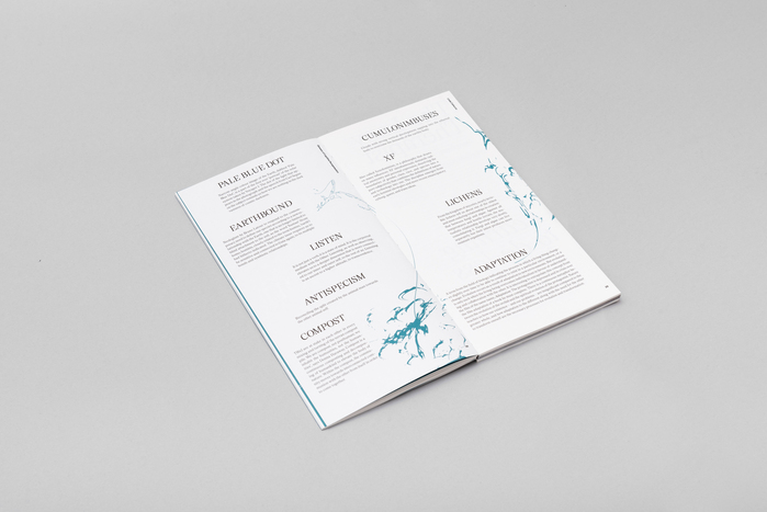 NOIA, issue 2: “Reassemblage” 6