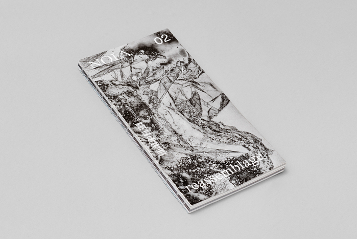 NOIA, issue 2: “Reassemblage” 1