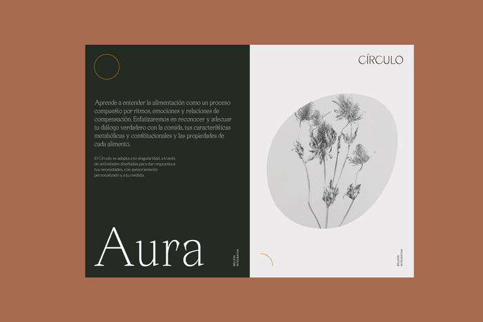 Círculo 3