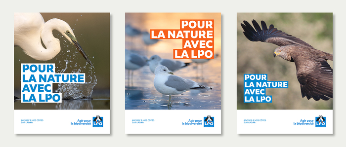 LPO (Ligue pour la Protection des Oiseaux) brand identity 6