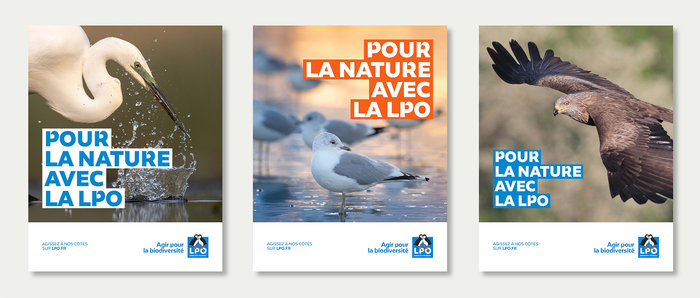 LPO (Ligue pour la Protection des Oiseaux) brand identity 6