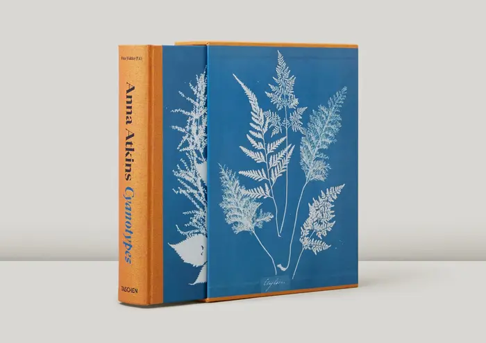 Anna Atkins. Cyanotypes by Peter Walther 1