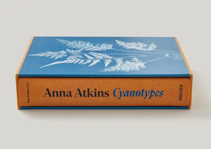 Anna Atkins. Cyanotypes 2