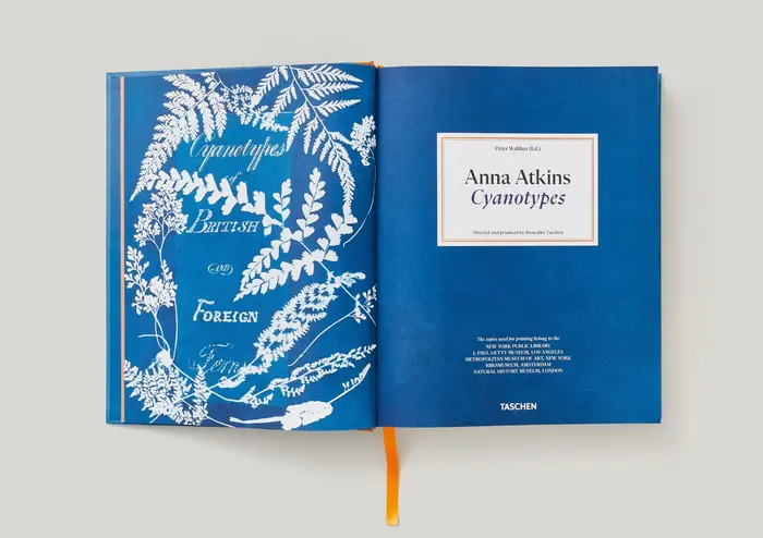 Anna Atkins. Cyanotypes by Peter Walther 5